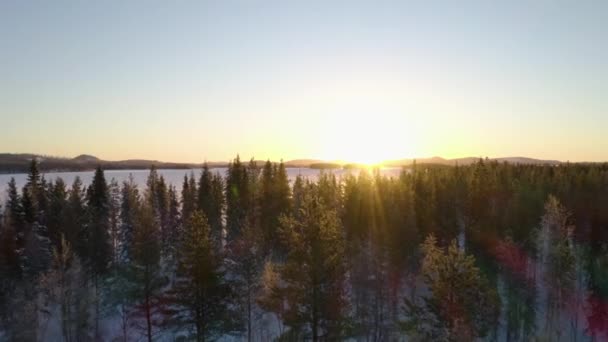 Aerial View Woodland Treetops Scenic Golden Sunrise Lapland Mountains Horizon — Vídeo de Stock