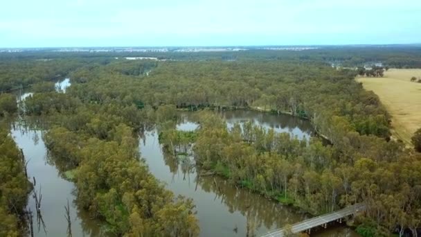 Drone Footage Murray Valley Highway Bridge Ovens River Eucalypt Floodplains — Stockvideo
