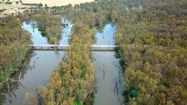 Drone Footage Truck Passing Murray Valley Highway Bridge Ovens River — Vídeos de Stock