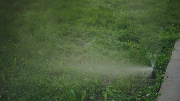 Automatic Sprinkler System Watering Lawn Yard Close — Wideo stockowe