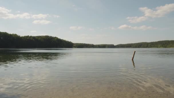 Peaceful Lake Lush Forest Trees Background Jezioro Glebokie Poland Wide — Video Stock