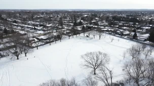 Aerial Shot Walker Creek Park Canada People Walking Frozen Lake — Vídeos de Stock