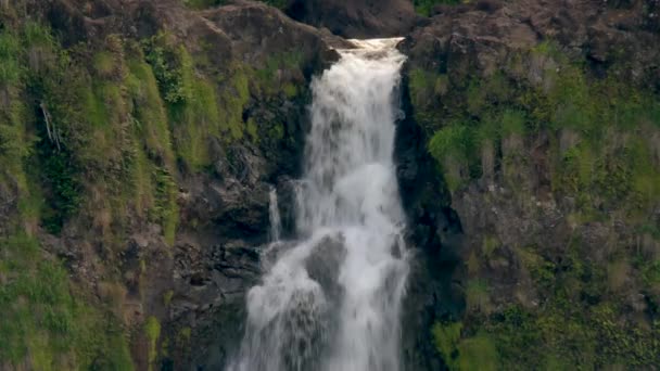 Cascading Waterfall Splashing Rocky Cliff Tropical Rainforest — Stok video