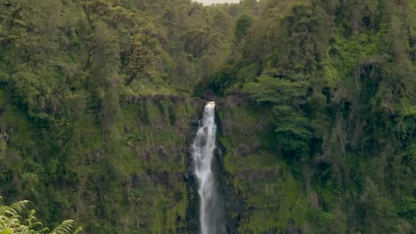 Zoom Tropical Waterfall Flowing Hawaii Rainforest Clifftop — Stockvideo