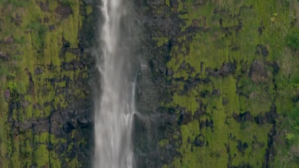 Tall Waterfall Cascading Mossy Rock Cliff Hawaii Akaka State Park — Stok video