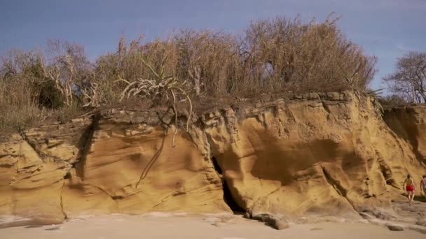 Desert Beach Cliffs Grass Growing Top — Stockvideo