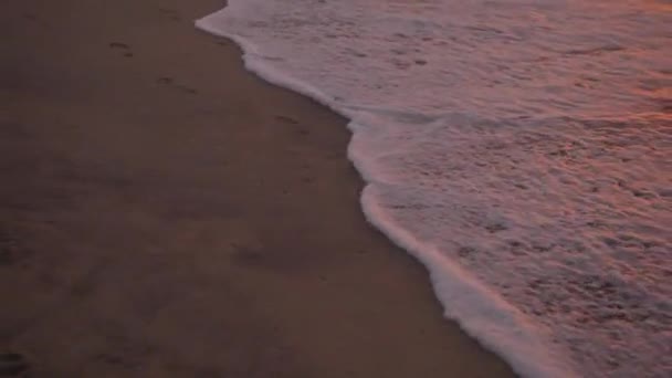 Small Beach Waves Sunset — Stockvideo