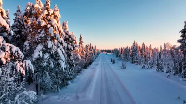 Aerial View Road Arctic Winter Forest Sunrise Lapland — Stok video