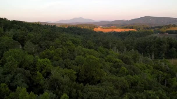 Aerial Push Treetops Grandfather Mountain Boone Blowing Rock North Carolina — Vídeo de stock