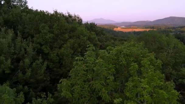 Aerial Lower Treetops Boone Blowing Rock North Carolina — Stok Video