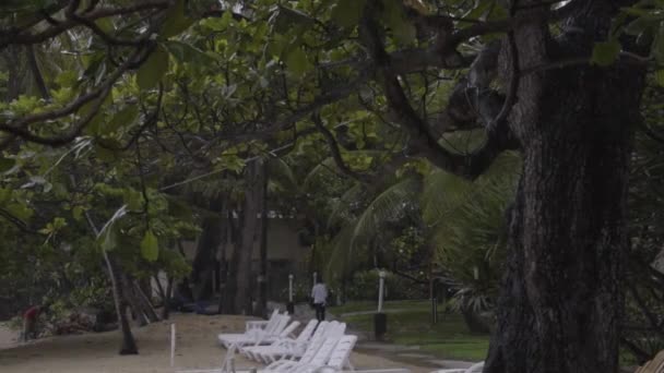 Rain Captured North Coast Haiti — Vídeo de stock