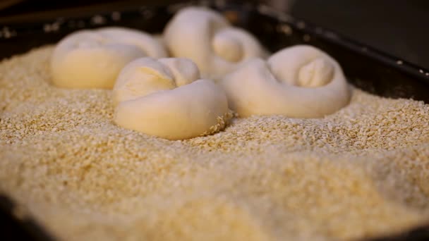 Seeding Bread Rolls Baking — Stock video