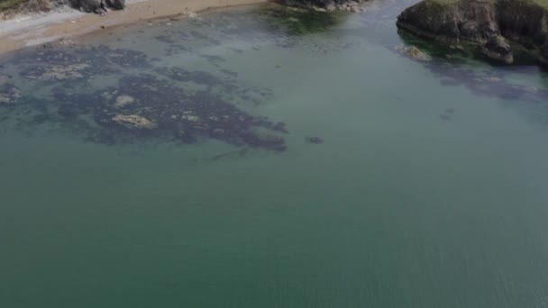 Aerial Tilt Reveals Green Pasture Land Atop Ocean Cliffs Blue — Stockvideo