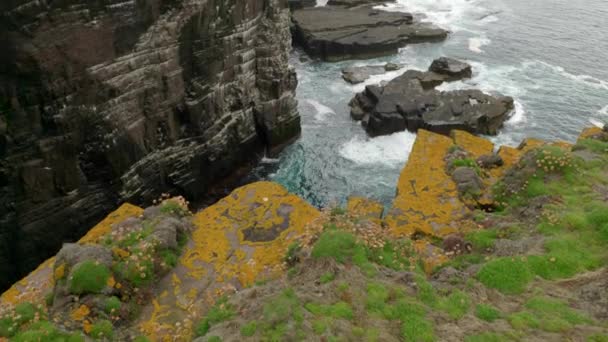 Slow Tilting Shot Gently Rises Reveal Seabird Colony Dramatic Sheer — Stockvideo