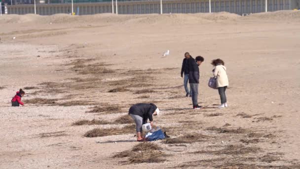 Multi Ethnicity People Enjoying Time Beach — ストック動画