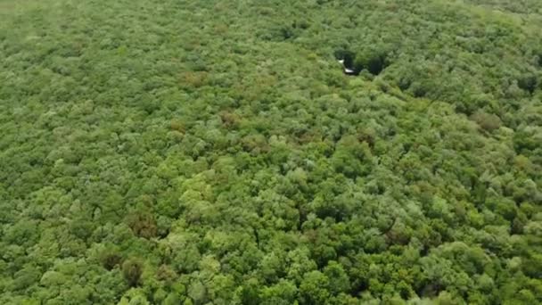 Una Sola Casa Medio Las Tierras Boscosas Sin Explotar Bulgaria — Vídeos de Stock