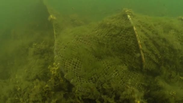 Ghost Bow Net Bottom Baltic Sea — Wideo stockowe