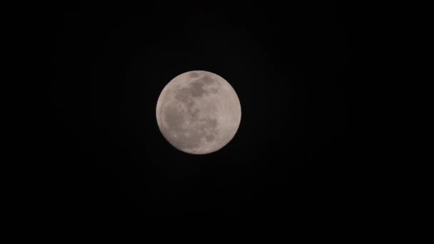 Luna Llena Que Mueve Través Del Cielo Mientras Las Nubes — Vídeos de Stock