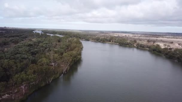 Murray River Berri South Australia — Stock Video