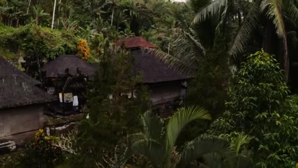 Historic Balinese Temple Middle Lush Tropical Jungle Ubud Aerial — Video Stock