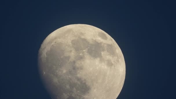 Close Clear View Almost Full Moon Moving Dark Blue Sky — Wideo stockowe