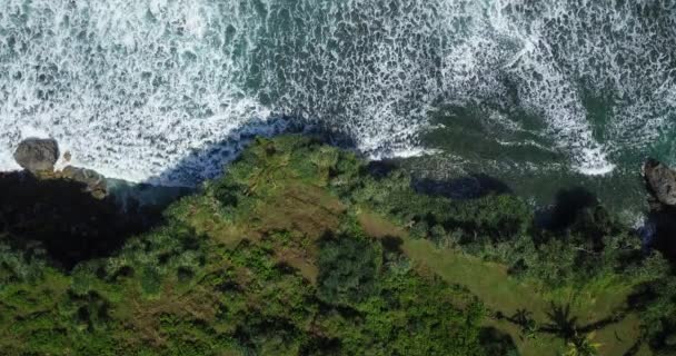 Overhead Drone Shot Coastline Green Trees Cliff Border Sea South — Video Stock