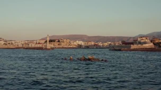 Flying Low Chania Harbor Greece — Stock video