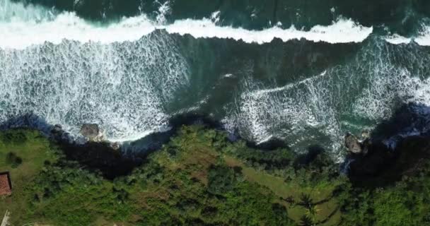 Aerial Top Massive Waves Sea Crashing Overgrown Cliffs Sunlight — 비디오