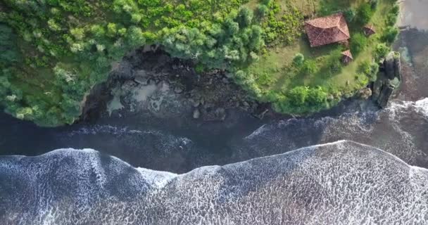 Overhead Sliding Drone Shot Coastline Green Trees Cliff Border Sea — Vídeo de stock