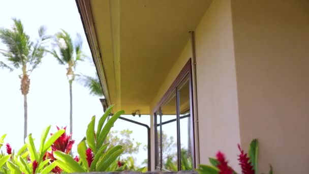 Backwards Reveal Jungle Tropical Villa Shower Outdoor — Stockvideo