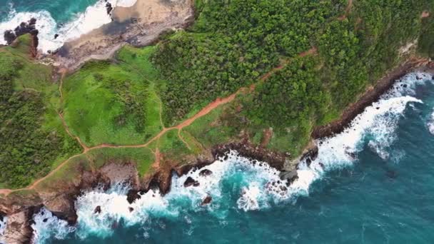 Paradise Cliff Mazunte Beach Town Aerial Drone Fly Natural Oaxaca — Stockvideo