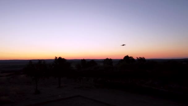 Small Drone Takes Flight Fields Early Hours Morning Sun Begins — ストック動画