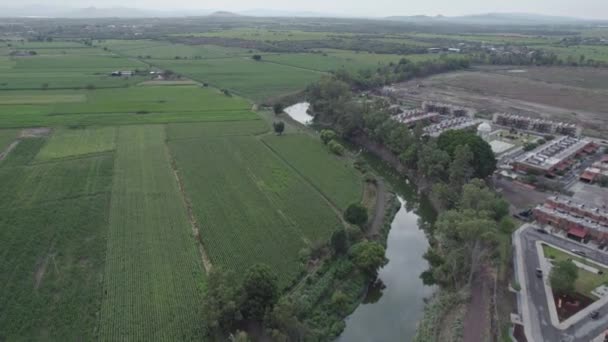 Arboledas Housing Area Next Lerma River Salamanca — ストック動画