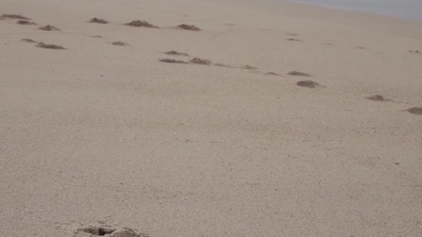 Close Trail Foot Tracks Sand Nazare Beach Portugal Camera Panning — стокове відео