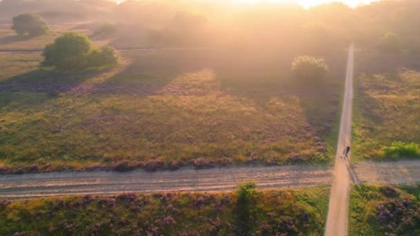 Aerial Golden Hour Sunset View Veluwe National Park Tilt — Stock Video