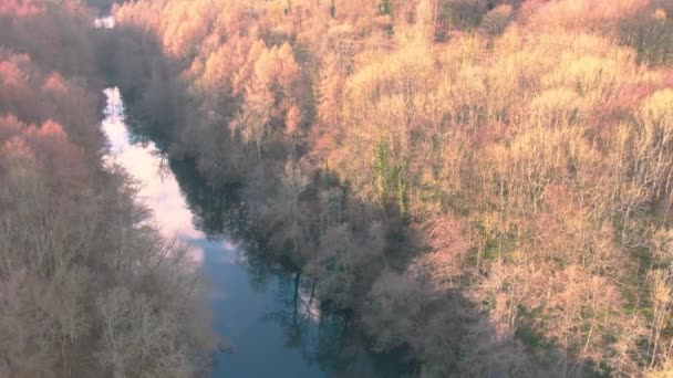 Aerial Drone View Natural Scenery Glastonbury Tor River Brue Stock — Vídeo de stock