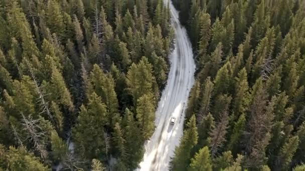 Aerial Shot Forest Road British Columbia — Stock video