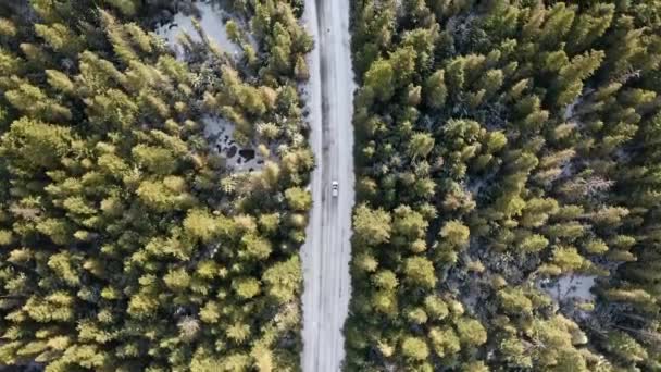 Drone Shot Forest Road British Columbia — Stock video