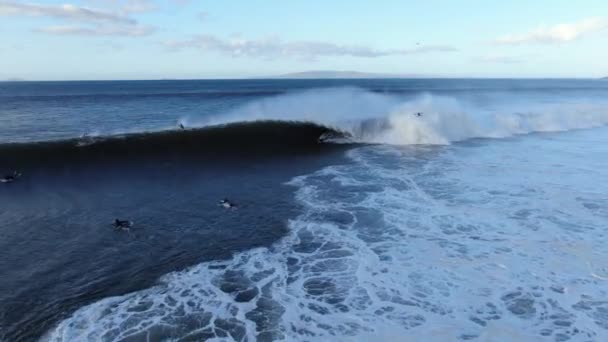 Surfers Catching Big Waves Maalaea Hawaii — Video
