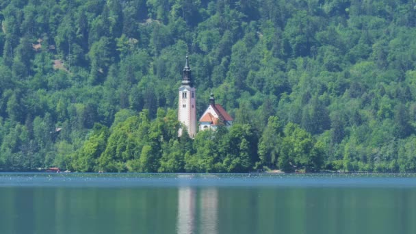 Church Assumption Mary Lake Bled Slovenia Steady Shot Island White — Wideo stockowe