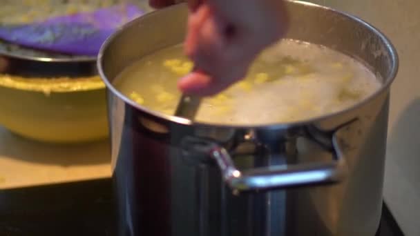 Cooking Potato Dough Lumps Pot Boiling Water Bryndzove Halusky Recipe — Vídeo de Stock