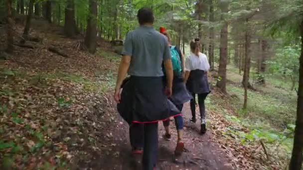 Family Walking Hiking Trail Carpathian Mountains Summer Slovakia Rear — Stockvideo