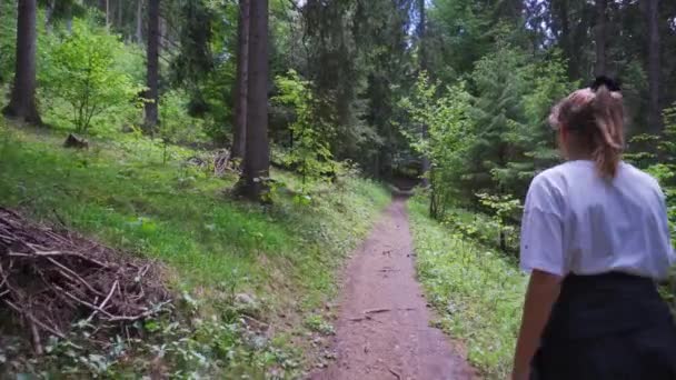 Hikers Walking Woodland Slovak Carpathian Mountains Liptov Europe Pov Shot — Stock video
