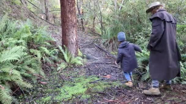 Bushman Stockman Jacket Akubra Hat Jumps Creek Cold Damp Forest — Stockvideo