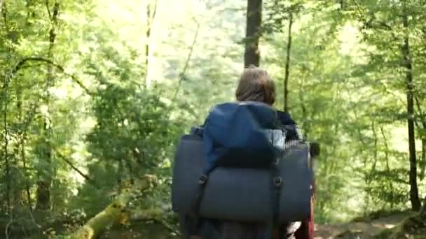 Guys Walking Trough Forrest Luxembourg Huge Packpacks — Vídeo de Stock