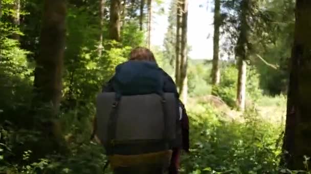 Blonde Guy Walking Trough Forrest Huge Backpack — Stockvideo