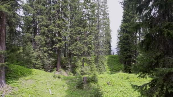 Slow Aerial Drone Footage Forested Landscape Switzerland Summer Drone Slowly — Vídeos de Stock