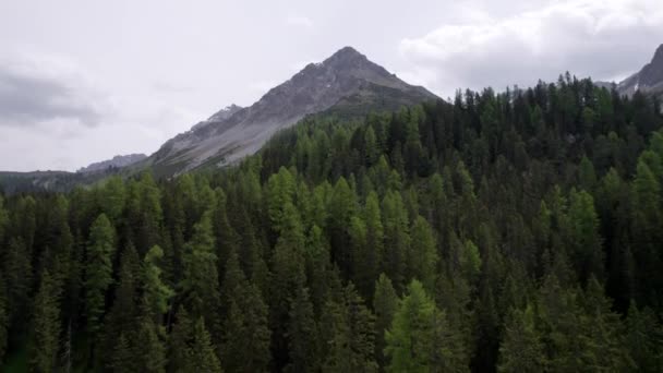 Aerial Drone Footage Mountain Landscape Switzerland Summer Drone Rapidly Descends — Vídeos de Stock