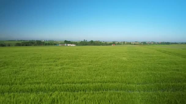 Aerial View Green Agricultural Land Blue Sky — Vídeo de Stock