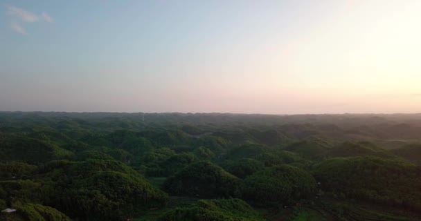 Drone Shot Flying Green Jungle Wonosari Indonesia Sunrise — 비디오